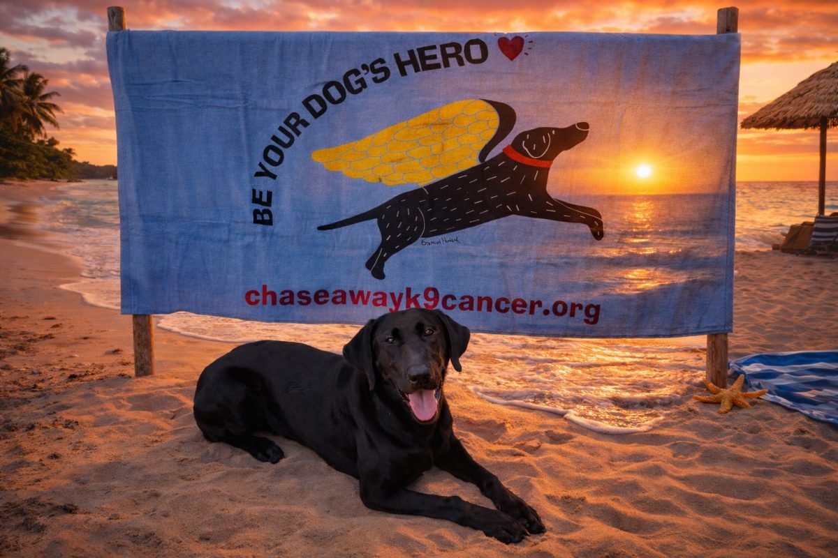 "Be Your Dog's Hero" Signature Beach Towel, Bath Towel, Crate or Ground Cover - New Colors - Image 2