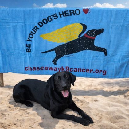 "Be Your Dog's Hero" Signature Beach Towel, Bath Towel, Crate or Ground Cover - New Colors