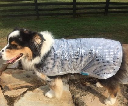 Sun Reflective Robe - Help Keep your Dog Cooler in Direct Sun